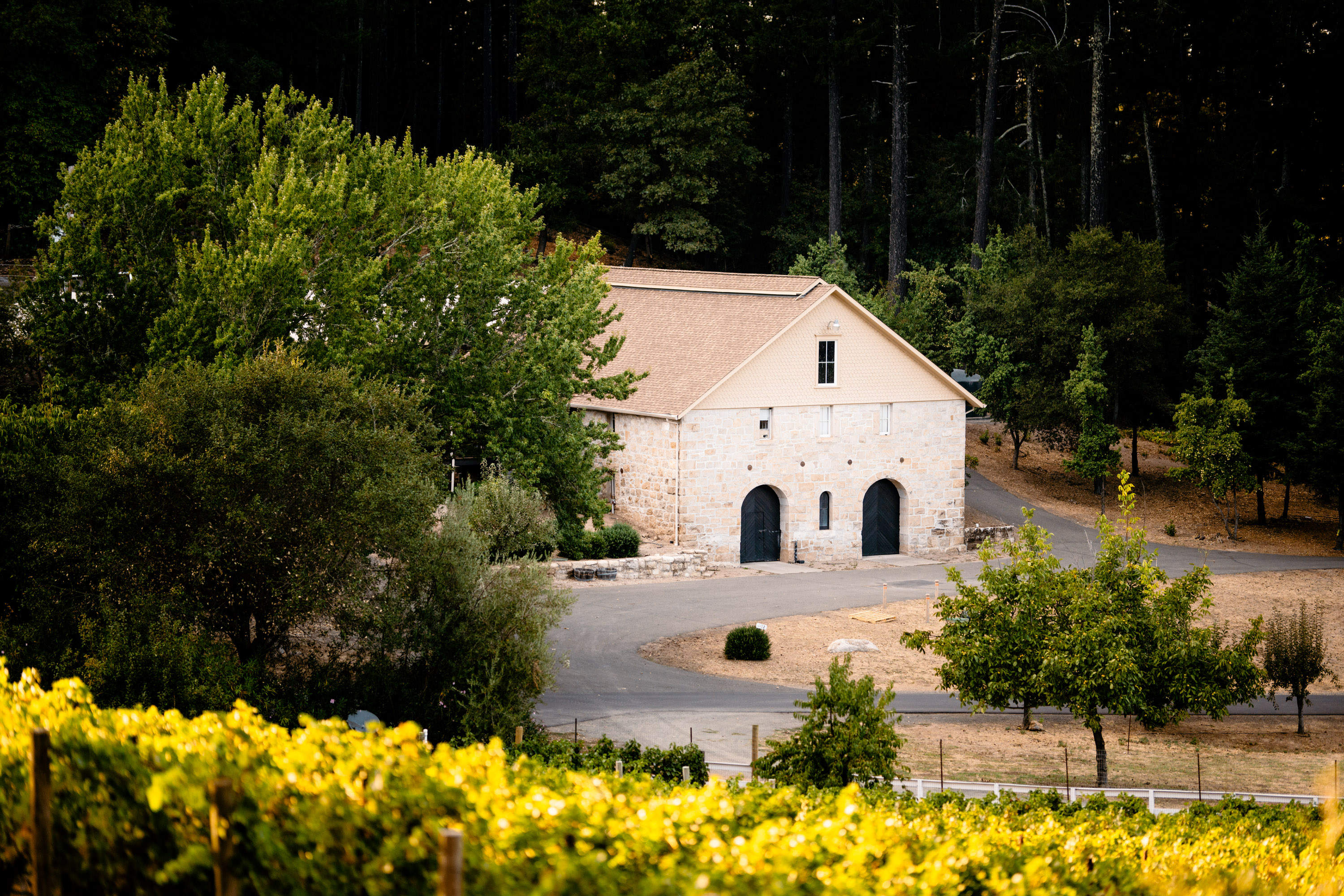 Winery and Vineyards